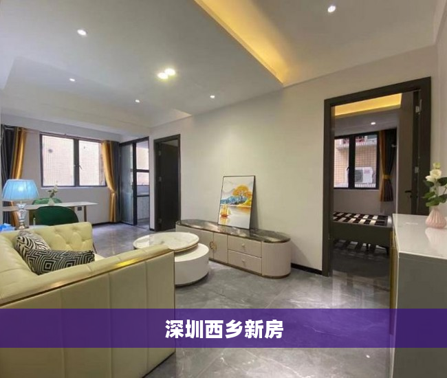 深圳西乡新房