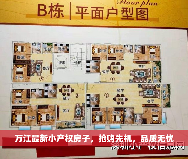 万江最新小产权房子，抢购先机，品质无忧