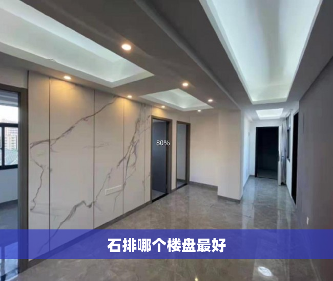 石排哪个楼盘最好