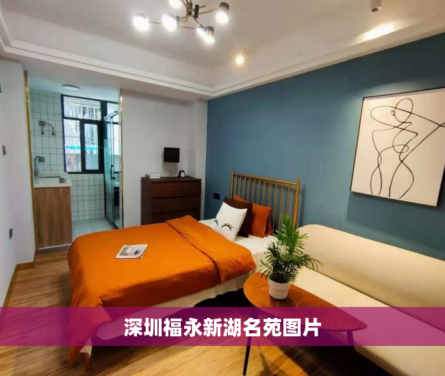 深圳福永新湖名苑图片