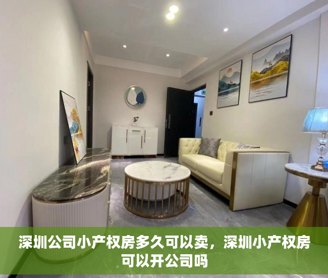 深圳公司小产权房多久可以卖，深圳小产权房可以开公司吗