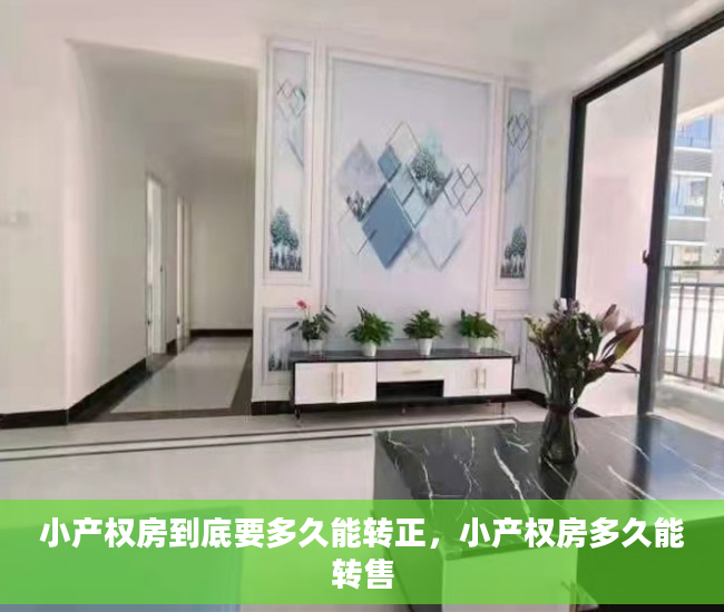 小产权房到底要多久能转正，小产权房多久能转售